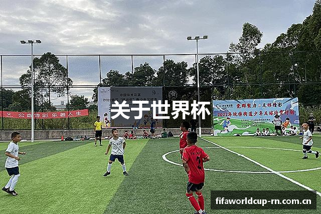 关于世界杯